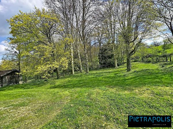 Maison de 320m² à rénover sur une parcelle de 5249m2 et dépendances