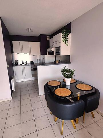 Appartement Saint Martin D Hères 2 pièces + garage