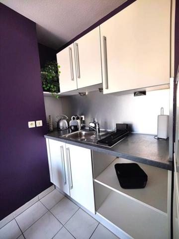 Appartement Saint Martin D Hères 2 pièces + garage