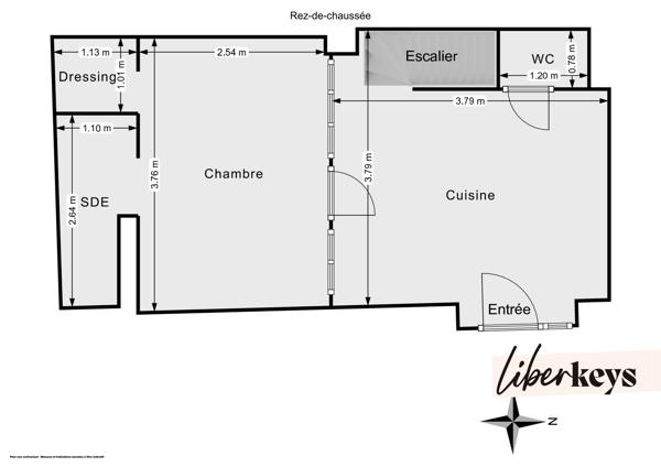 Lyon 7 Jean Macé – Duplex rénové avec 2 chambres et 2 salles d'eau