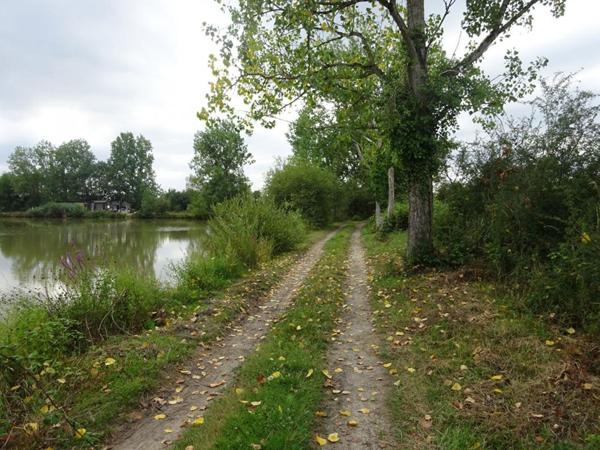 Propriété equestre  7 pièce(s)