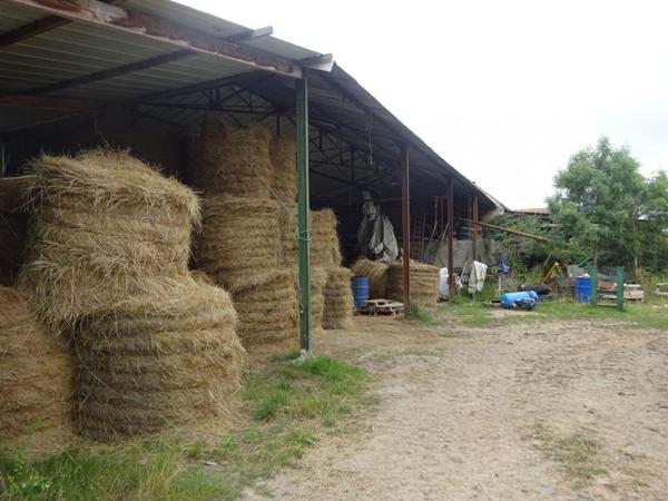 Propriété equestre  7 pièce(s)