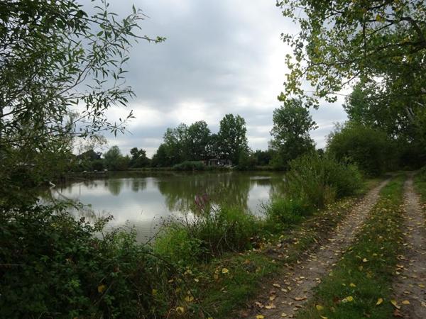 Propriété equestre  7 pièce(s)