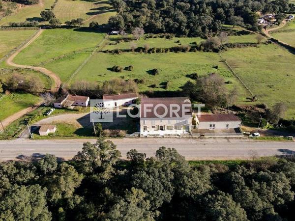 Achat immeuble Ajaccio - 22 pièce(s) - 1000 m² - 990 000 €