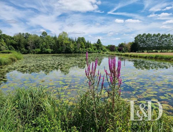 Un écrin 100 % Nature