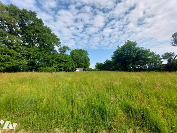 A VENDRE - COSSE LE VIVIEN - PAVILLON AVEC TERRAIN 6532 m² 
