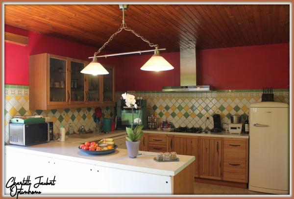 ensemble de 2 maisons en pierre + grand terrain