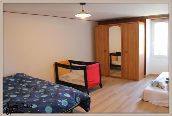 ensemble de 2 maisons en pierre + grand terrain