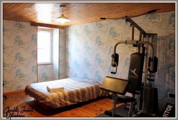 ensemble de 2 maisons en pierre + grand terrain