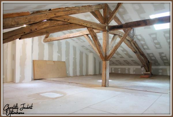 ensemble de 2 maisons en pierre + grand terrain