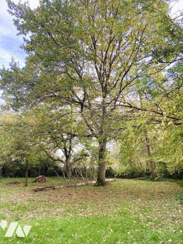 Maison contemporaine