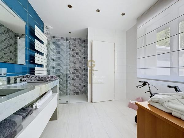 Superbe maison semi plain pied entièrement rénovée 4 suites, piscine et superbe jardin