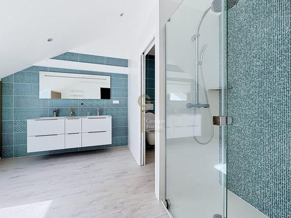 Superbe maison semi plain pied entièrement rénovée 4 suites, piscine et superbe jardin
