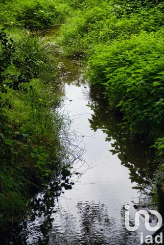 Terrain à vendre 31 507 m² Dontreix