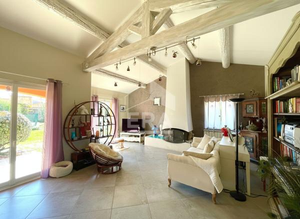 Superbe maison familiale avec pièce de vie cathédrale et piscine