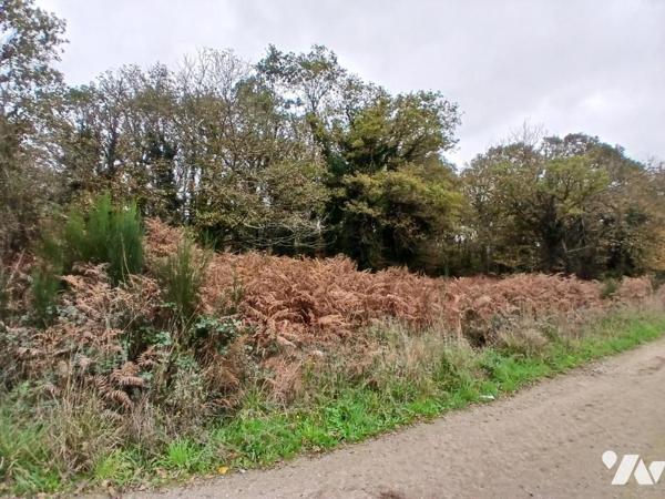 ALLAIRE SAINT EUTROPE