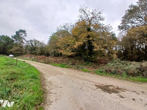 ALLAIRE SAINT EUTROPE