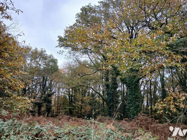 ALLAIRE SAINT EUTROPE