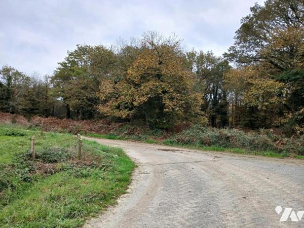 ALLAIRE SAINT EUTROPE