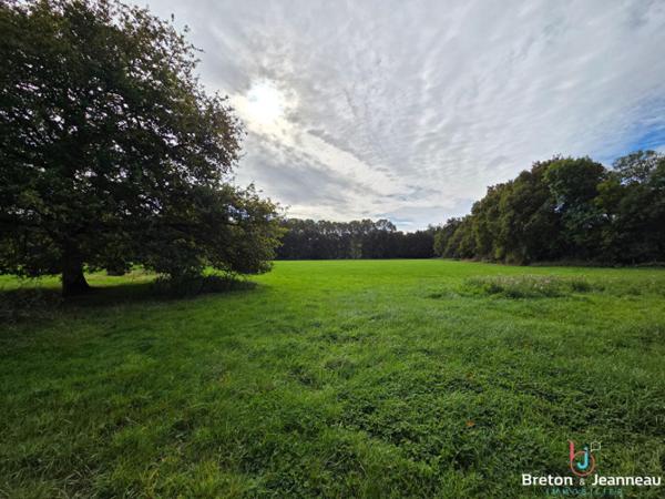 Corps de ferme sur 8 ha 34 à Bandouet-St Jean