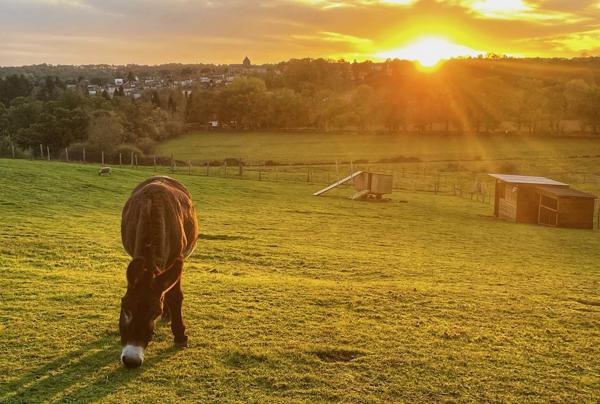Domaine d'exception au coeur de la campagne, 40 couchages, maison de 8 chambres, piscine chauffée, mini-ferme,