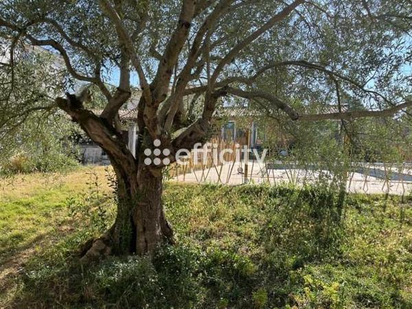 Maison 3 pièces - 79 m²