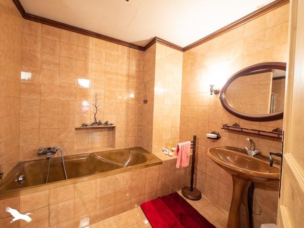 Maison à vendre 295 000 € Rieucros 10 p 283 m² DPE D