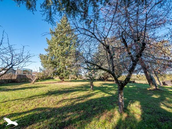 Maison à vendre 295 000 € Rieucros 10 p 283 m² DPE D