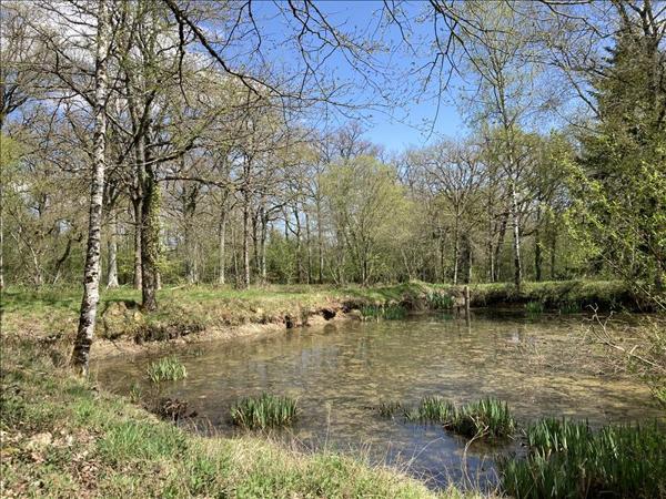 Terrain à vendre |  Lourdoueix-Saint-Michel |  2430 m²