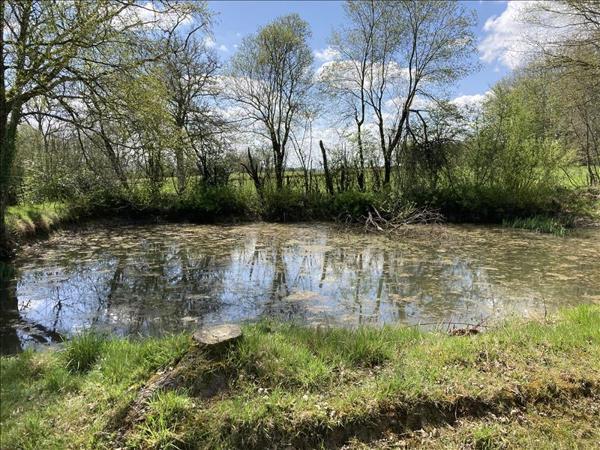 Terrain à vendre |  Lourdoueix-Saint-Michel |  2430 m²