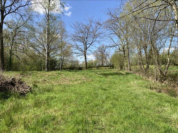 Terrain à vendre |  Lourdoueix-Saint-Michel |  2430 m²