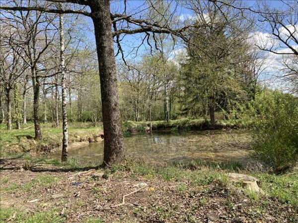 Terrain à vendre |  Lourdoueix-Saint-Michel |  2430 m²