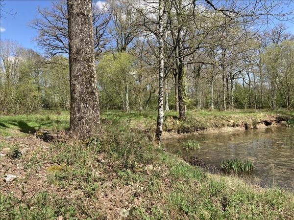 Terrain à vendre |  Lourdoueix-Saint-Michel |  2430 m²