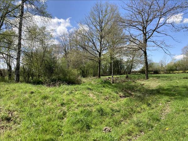 Terrain à vendre |  Lourdoueix-Saint-Michel |  2430 m²