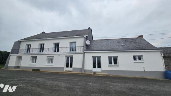 Maison 229 m² MESANGER - 3 736 m² de terrain