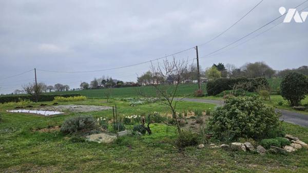 Maison 229 m² MESANGER - 3 736 m² de terrain