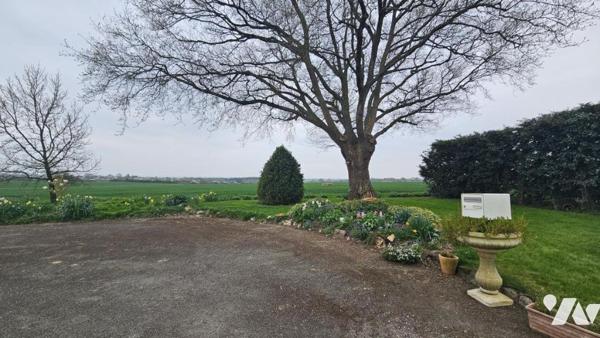 Maison 229 m² MESANGER - 3 736 m² de terrain