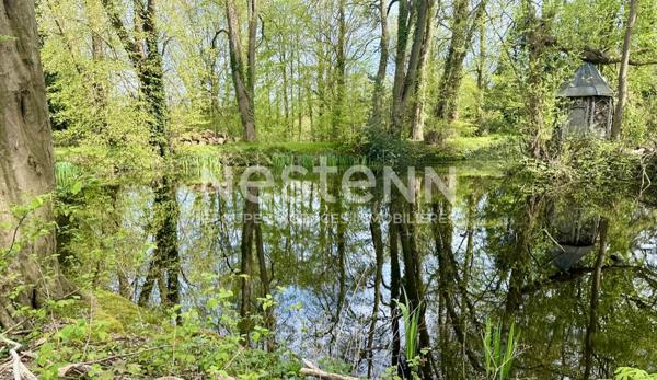 Propriété dans un parc exceptionnel à Bois Guillaume - 5 pièces -160m2 - Bien rare et très bel environnement.