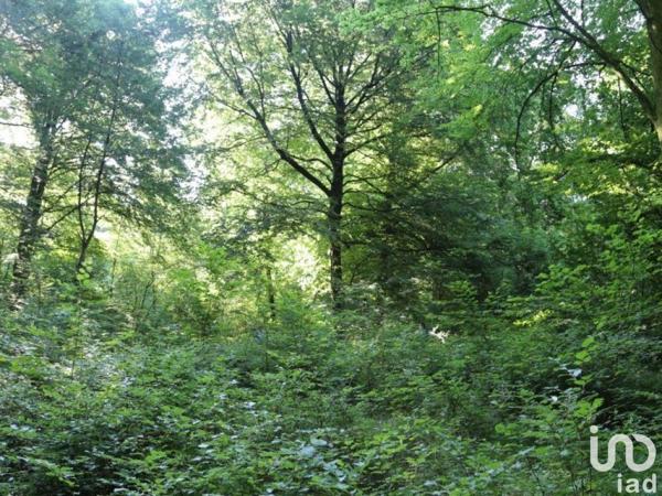 Terrain à vendre 2 001 m² Morlaix