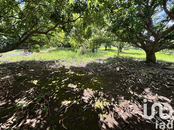 Terrain à vendre 747 m² Saint-Pierre