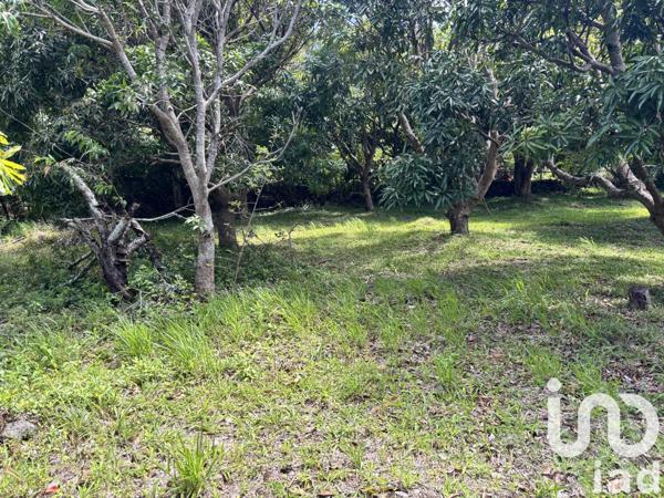 Terrain à vendre 747 m² Saint-Pierre