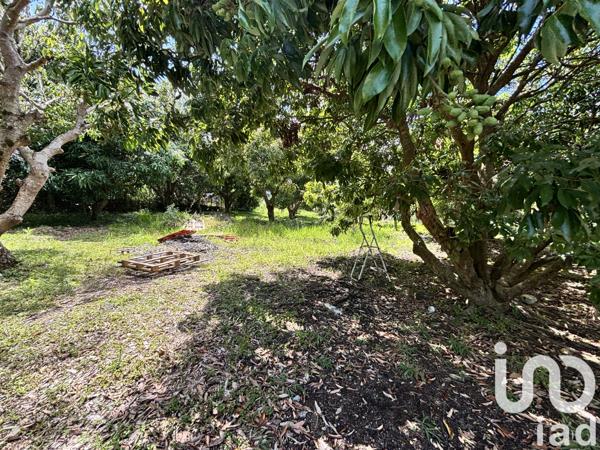 Terrain à vendre 747 m² Saint-Pierre