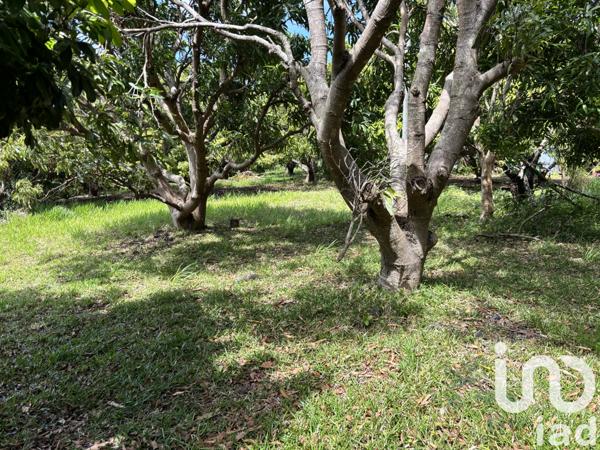 Terrain à vendre 747 m² Saint-Pierre