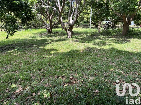 Terrain à vendre 747 m² Saint-Pierre