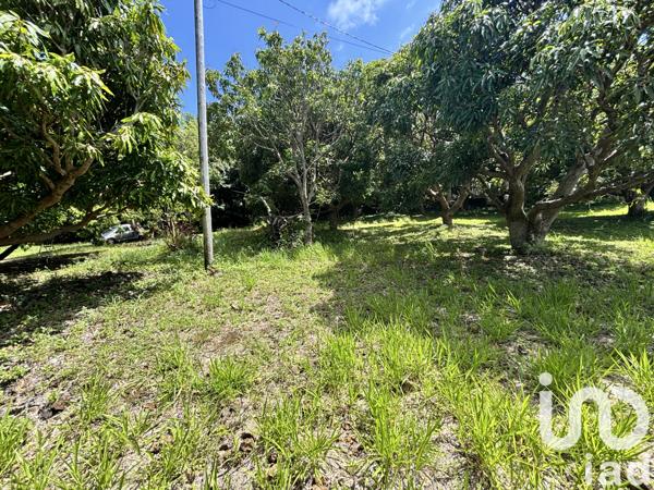 Terrain à vendre 747 m² Saint-Pierre