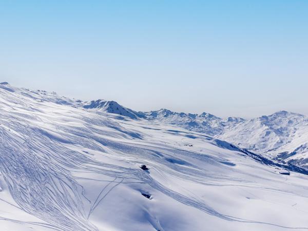 Commerce à vendre à LES MENUIRES (73440) - Savoie