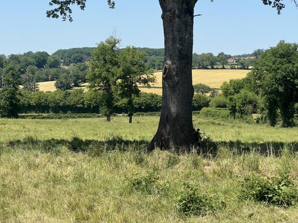 Maison à vendre à Bonnat (23220) - Creuse