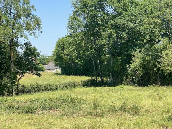 Maison à vendre à Bonnat (23220) - Creuse