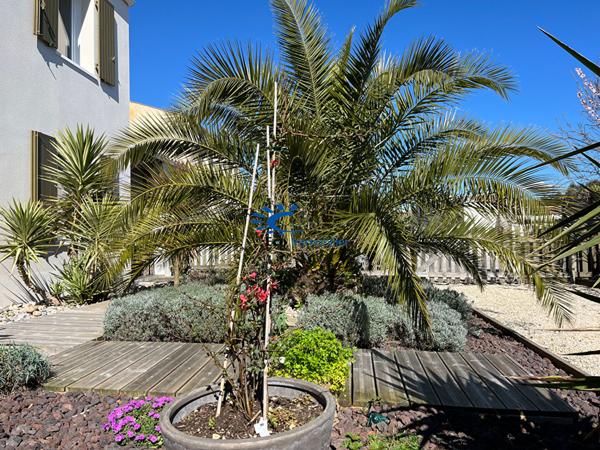 PERIGNY MAISON CONTEMPORAINE 165 M² 4 CHAMBRES PISCINE GARAGE  Perigny