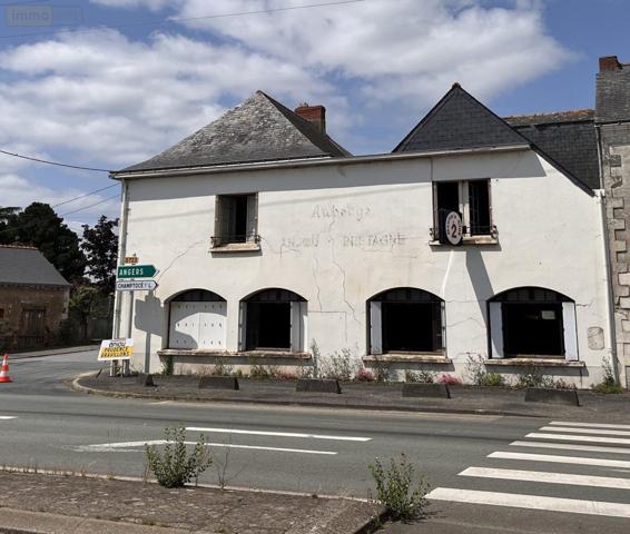 Immeuble à vendre à Ingrandes-Le-Fresne-sur-Loire dans le Maine-et-Loire (49123), ref : 49019-3368